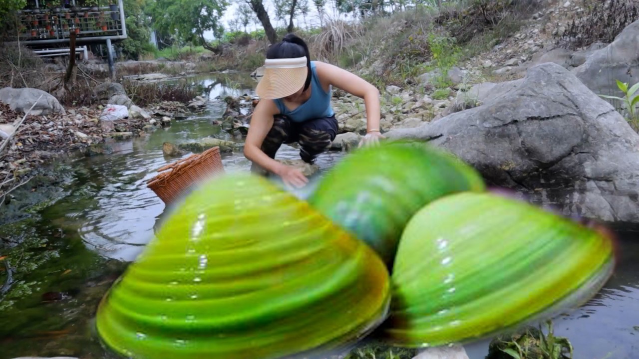 🔥🔥 A huge mutated clam! 🔥🔥  Super Pearl 👑 The girl collected a large amount of pearls and wealth 🎁