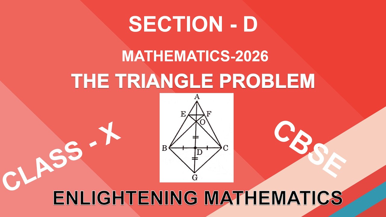 Class 10 Maths Triangle Question That Troubled Students | Section D Solution