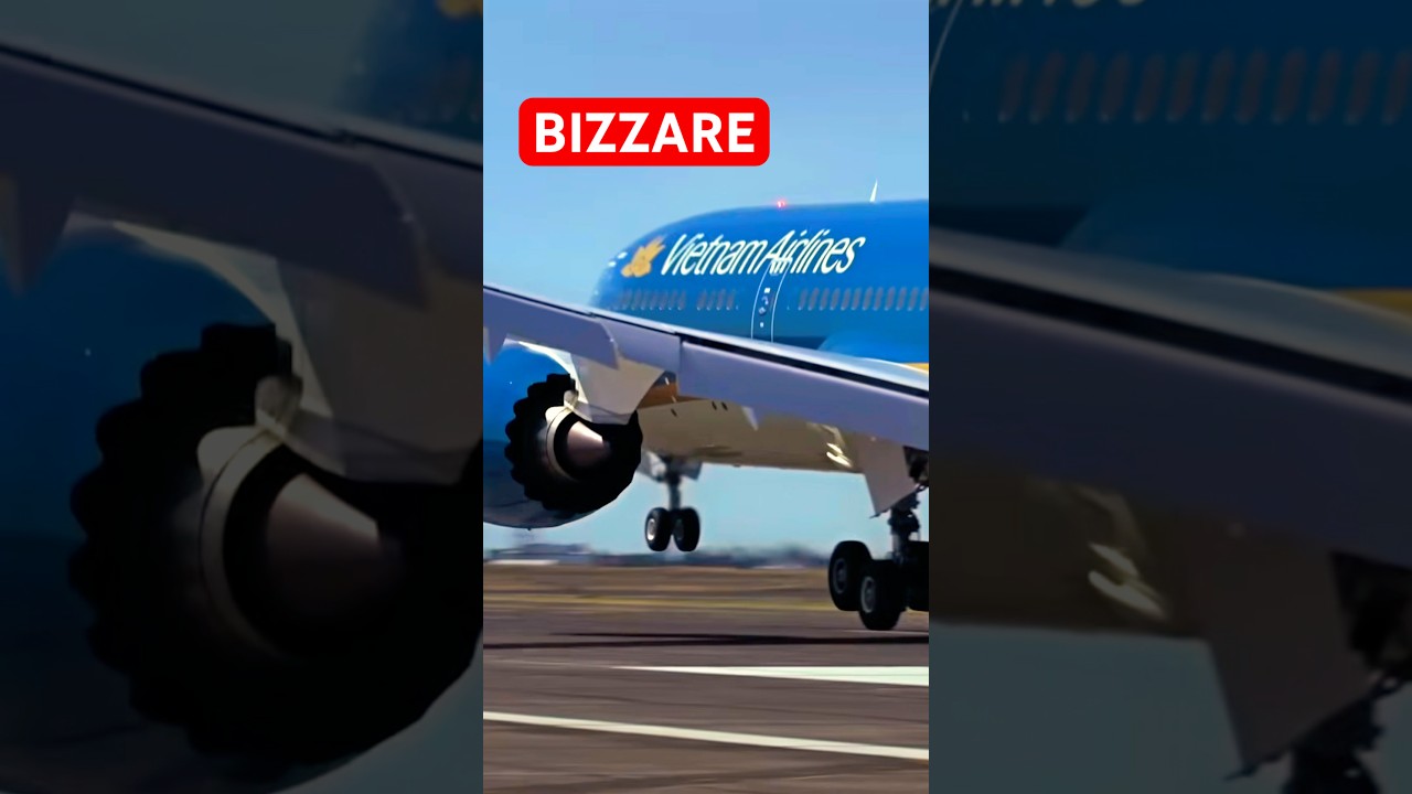 The 787 just got a *strange* new customer