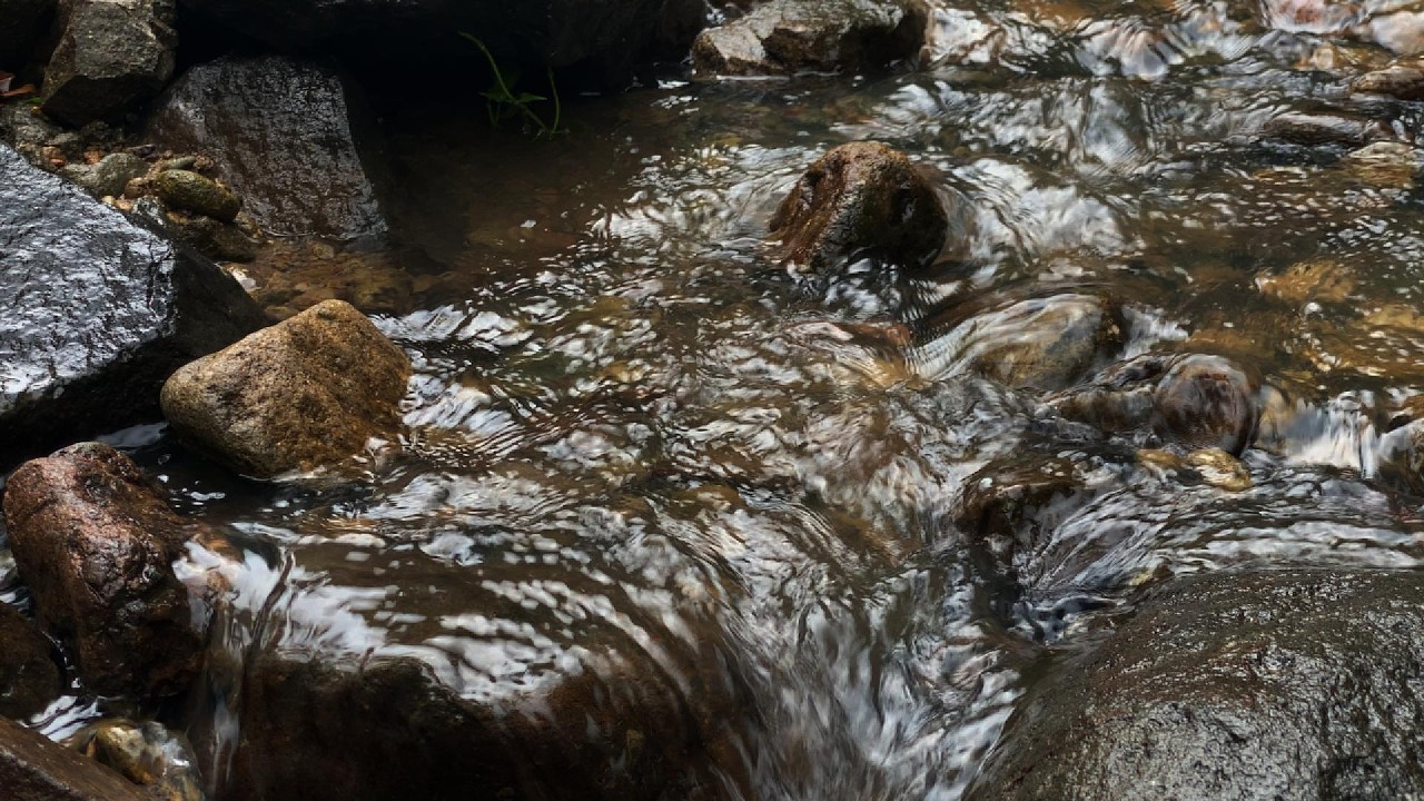 Gentle River Flow, Tranquil Forest Soundscape for Sleeping and Relaxation – 3 Hours