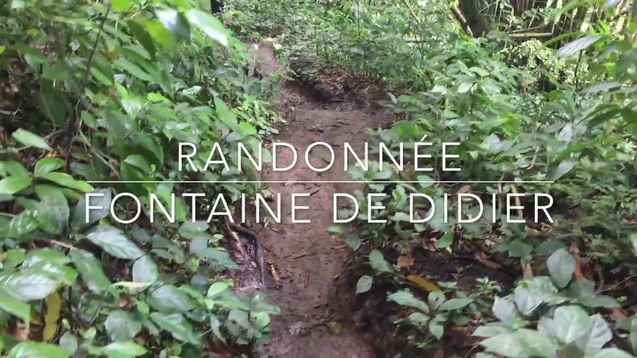 Randonnée Fontaine Didier - Martinique