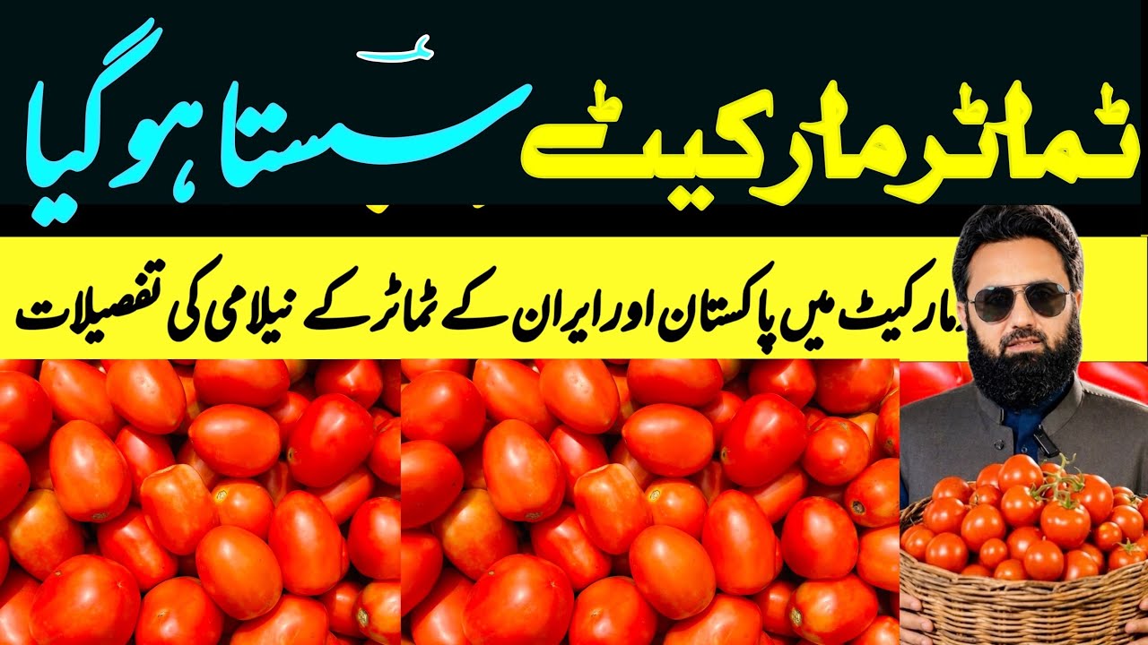 Tomato Prices Drop Today! | Pakistani & Iranian Tomato Auction Rates & Market Update⁠ 28 August 2026