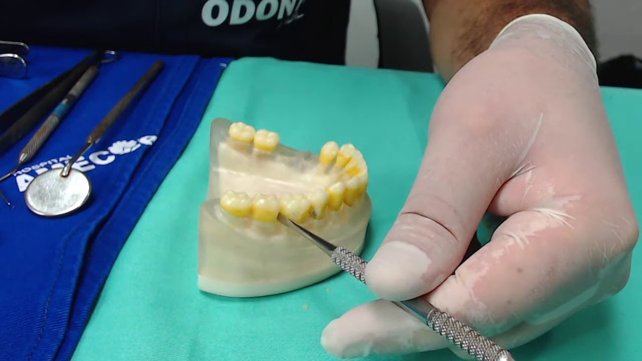 Cópia de Demonstrativos dos passos de Exodontia via alveolar / CIAO 1 - Aula 6