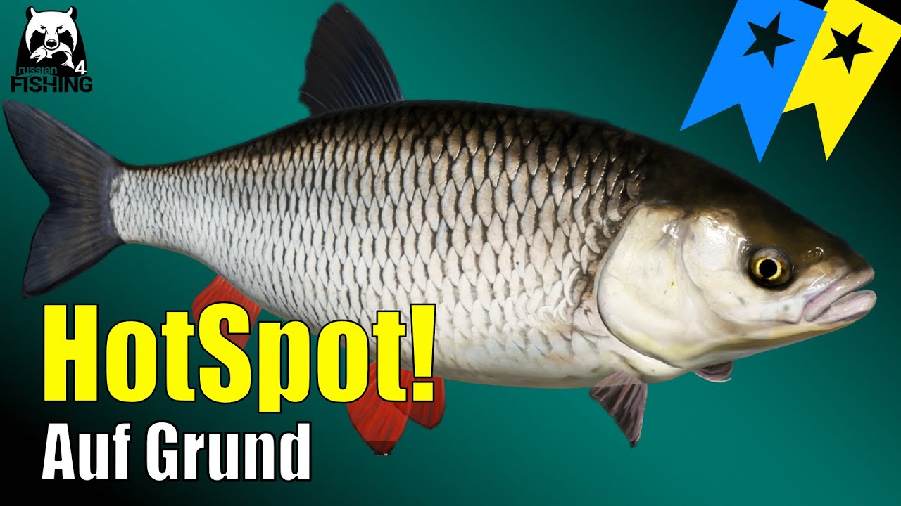 Russian Fishing 4 - Windenbach - Hot Spot!!! D&ouml;bel auf Grund, Trophy und Super Trophy #rf4