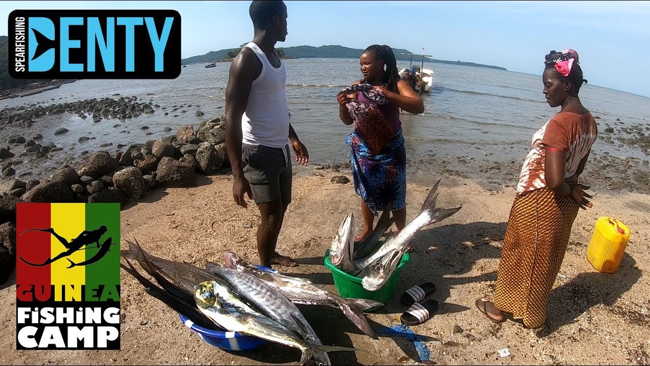Teaser Chasse sous-marine Spearfishing Guinea Fishing camp 2018