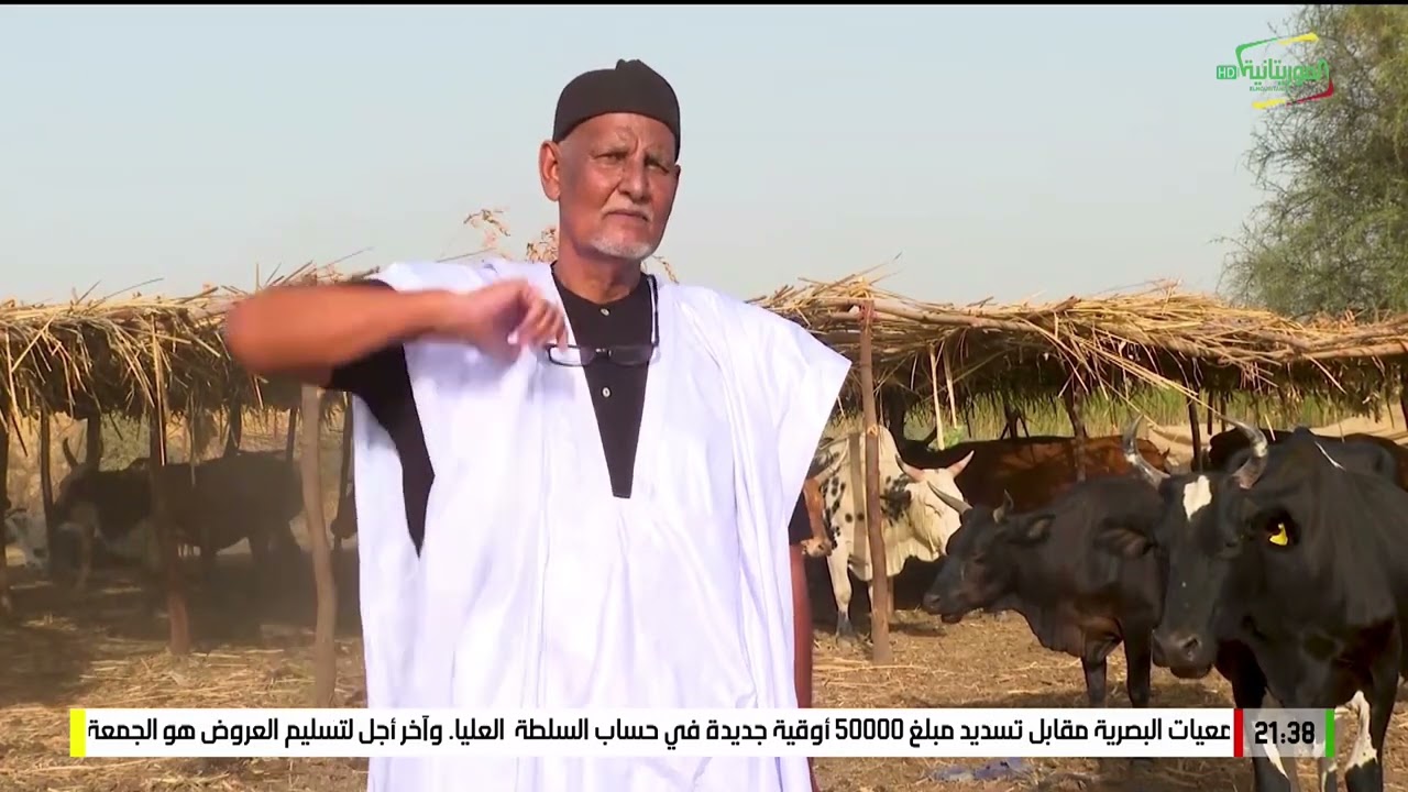 الصائمون في الأعماق