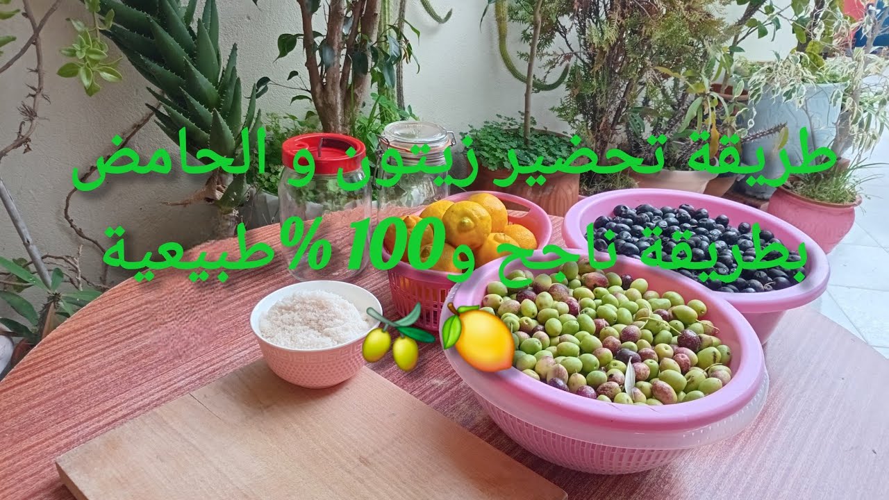 طريقة تحضير زيتون و الحامض بطريقة ناجح و100 %طبيعية وبدون مواد حافظة🫒🍋 