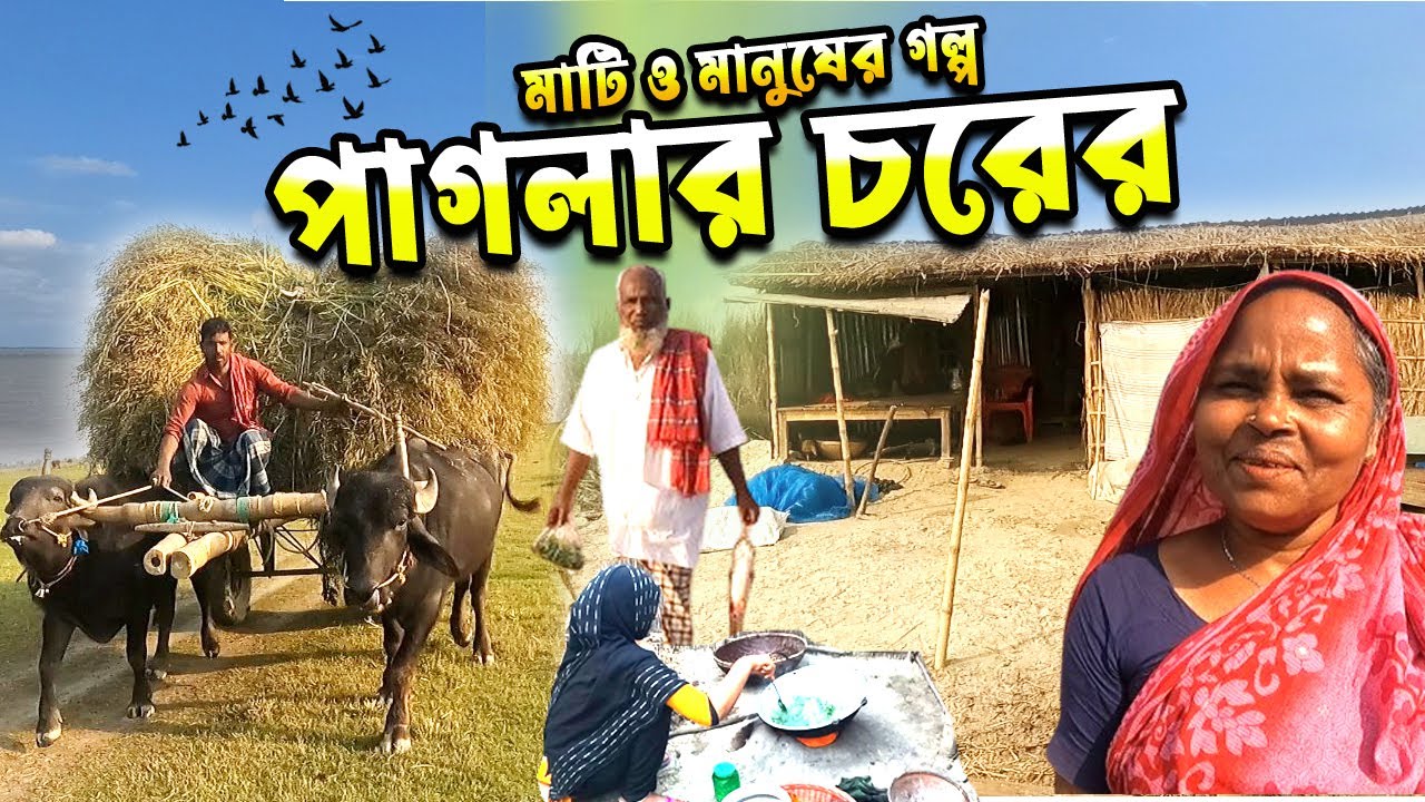 পাগলার চরের মানুষের সহায় সম্বলহীন বসবাস।পাগলার চর পাবনা।।Village Life of bangladesh