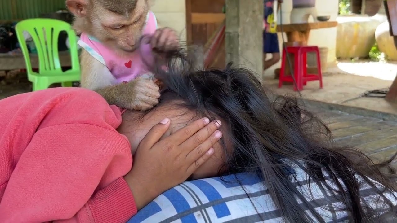 ASMR Monkey Grooming Oddly Satisfying Anxiety Relief Relaxing
