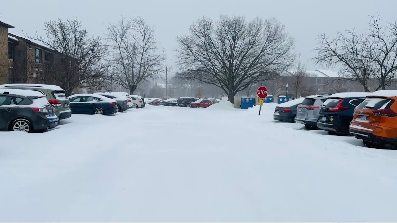 It’s Snowing Everywhere! ❄️ winter wonderland || বরফে মোড়া দিন ❄️ শান্ত এক মুহূর্ত #winter #snow 