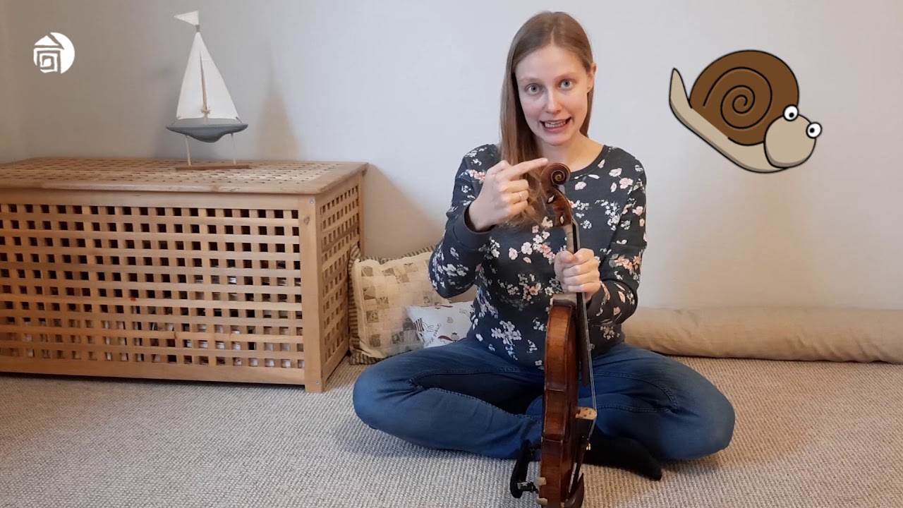Představujeme: housle a viola