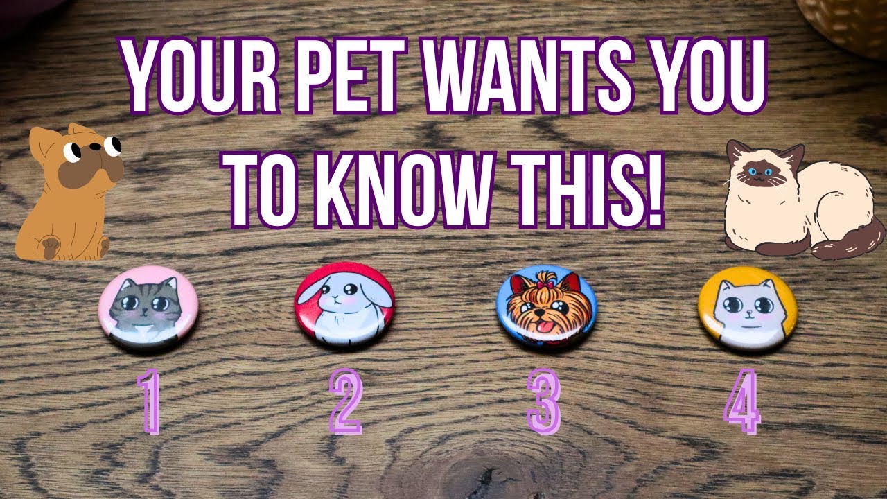 Messages from your Pets! (Dog, Cat, Horse, Bird)🐾 Pick a Card Reading🐾