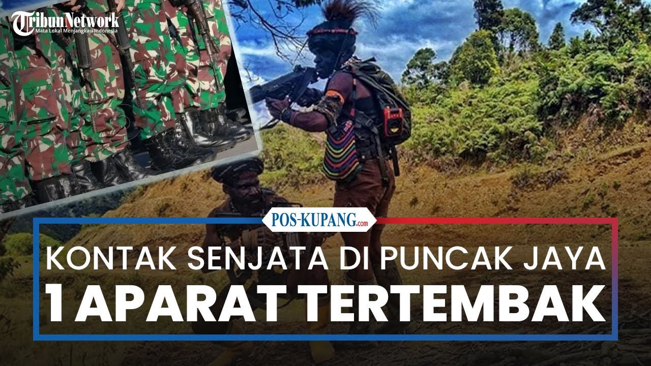 Kontak Tembak Aparat dan OPM di Puncak Jaya, 1 Personel Tertembak