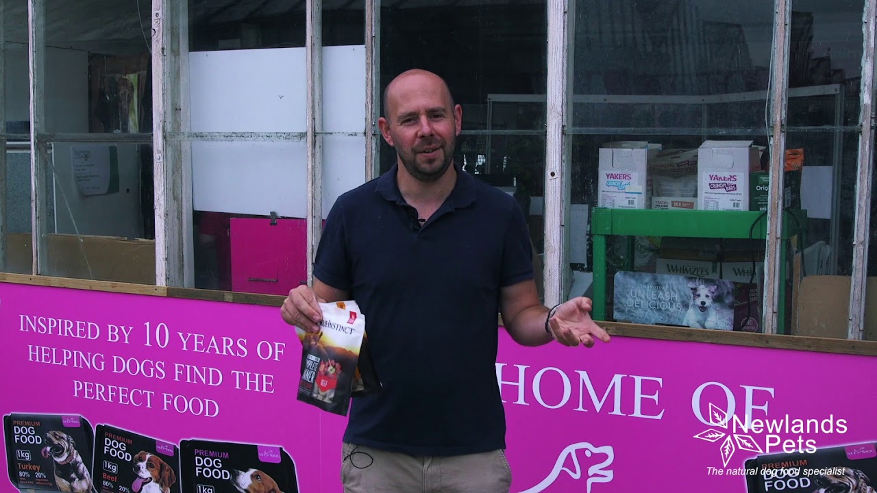 How to feed your dog on holiday?  - Newlands Pets