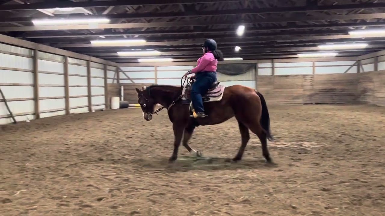 Olivia Foreman and Shes My Sensation - WDAA Intro Test 1 (NODA)