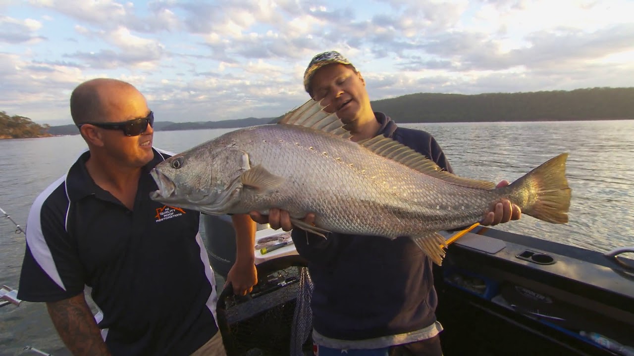 IFISH TV - Check this out!