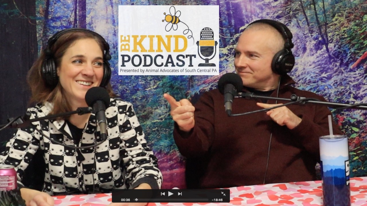 Be Kind Episode 84: Do Animals Feel Love?