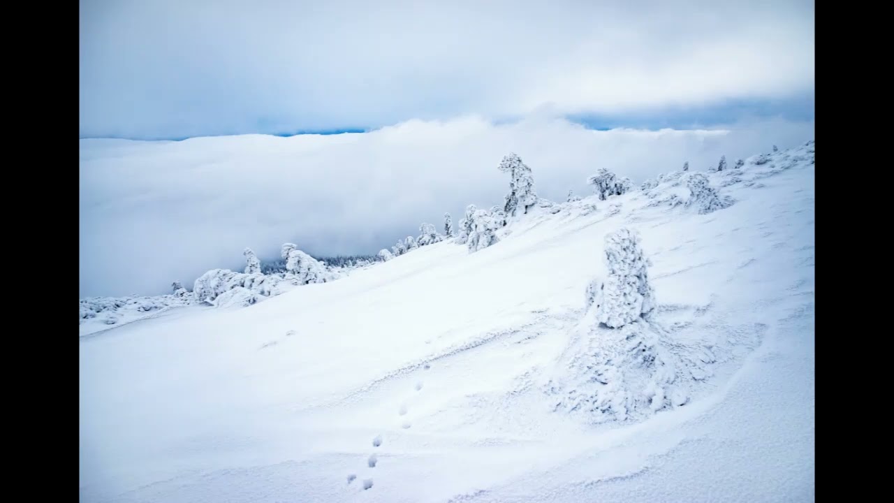 Lord Winter - Frozen