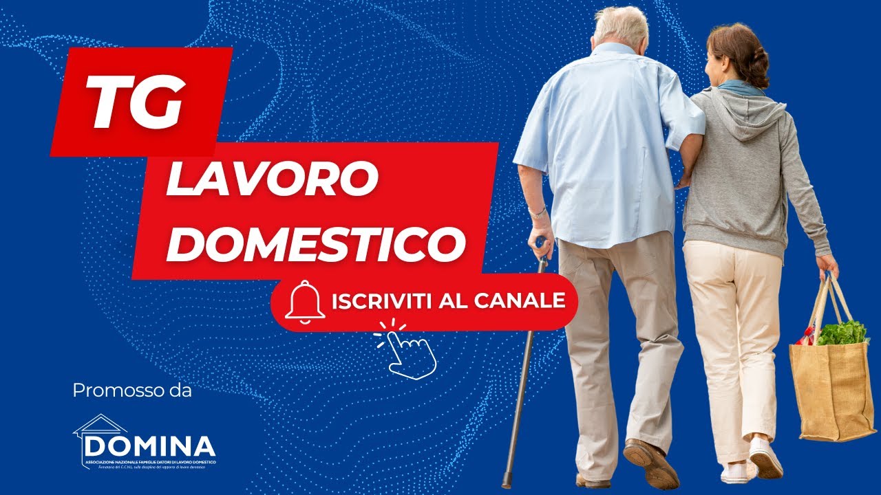 Tg Lavoro Domestico - Differenziali retributivi (i guadagni dei lavoratori domestici)