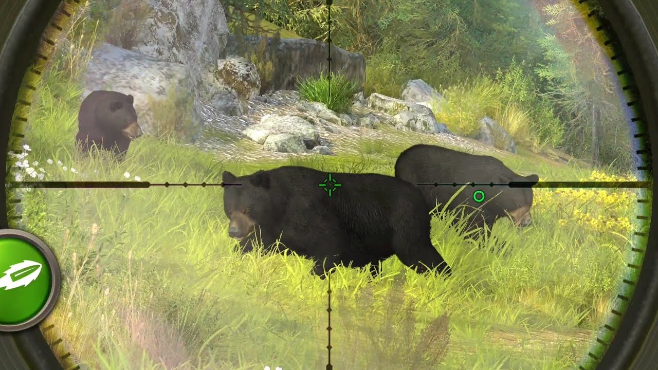 Hunting Clash. Review Black bear #gaming #gameplay #game #hunter #world #best