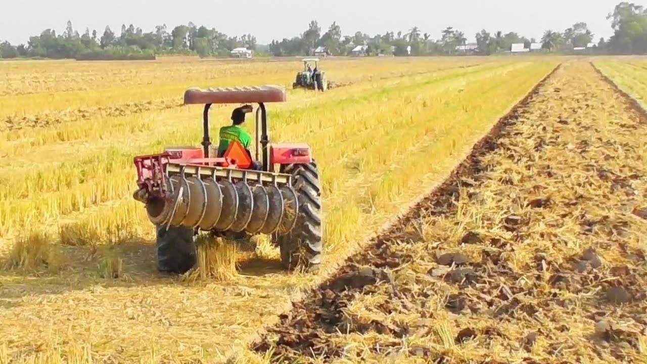 BỘ HAI MÁY CÀY MASSSEY JOHN DEERE CÀY CHẢO PHƠI ĐẤT