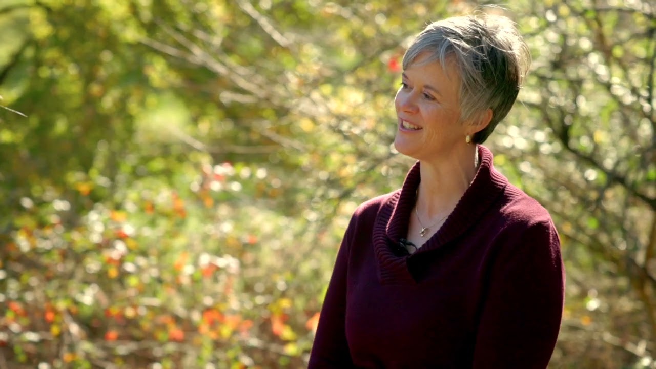 On the Trail with Frontier Nursing University - Episode 1