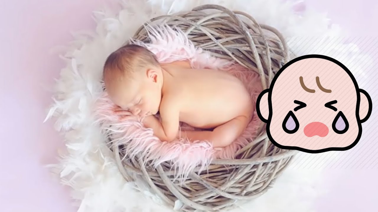 12 hours of white noise for infants, fall asleep, fast calming, study, relax, zen, focus, increase c