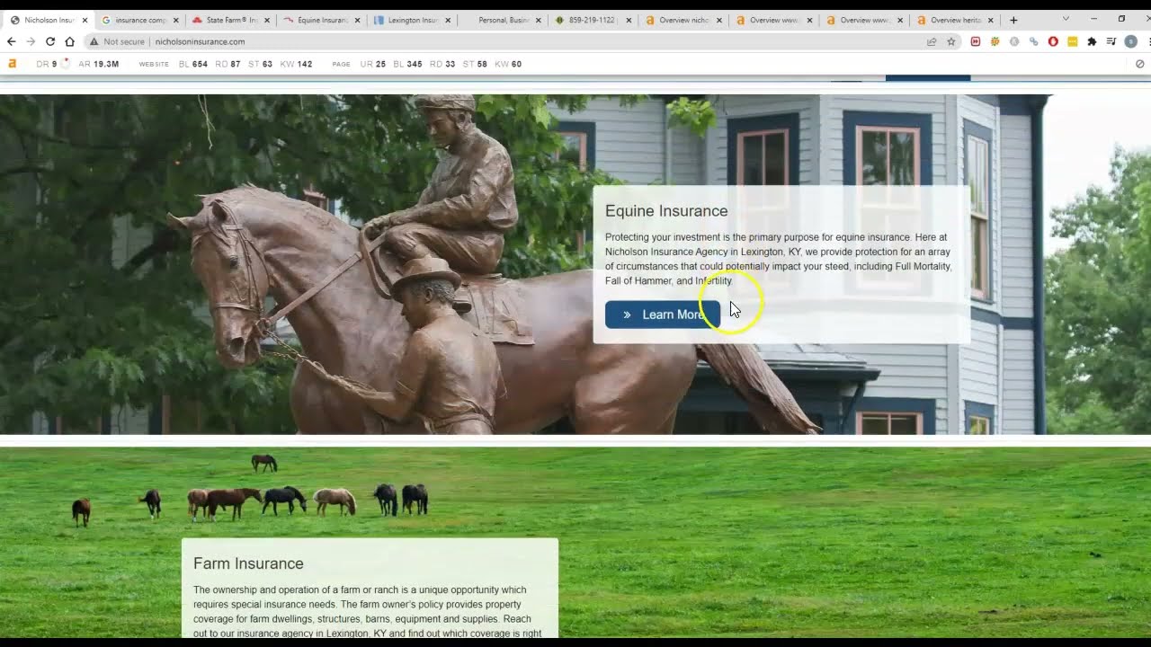Nicholson Insurance - Hayden SEO show&rsquo;s how to out rank competition