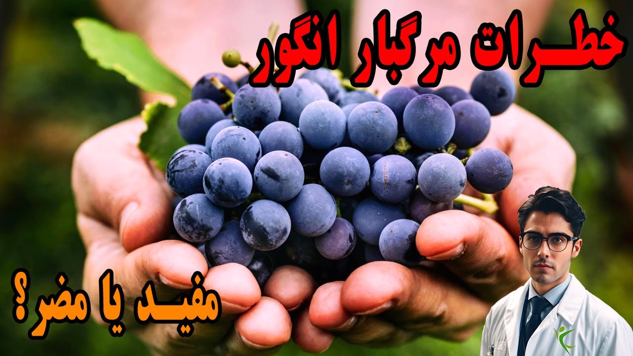 مهم ترین خواص انگور برای بدن 🍇 خطرات مرگ آور خوردن زیاد میوه #انگور