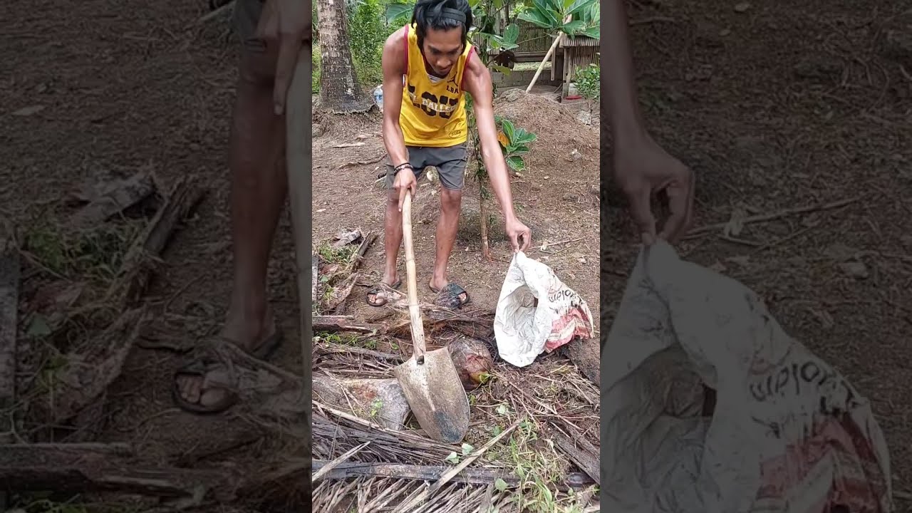 Snake Catch & Release