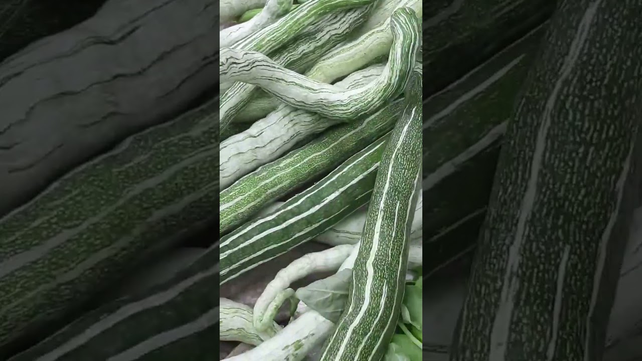 😱Guess what kind of Vegetables is this Taiwan #shorts #ytshorts #trending #shortvideo