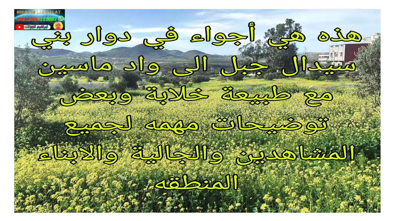 جولة ممتعة و رائعة و مفيده في دوار واد ماسين مع طبيعة خلابةبعض توضيحات مهمه لجميع المشاهدين الجالية 