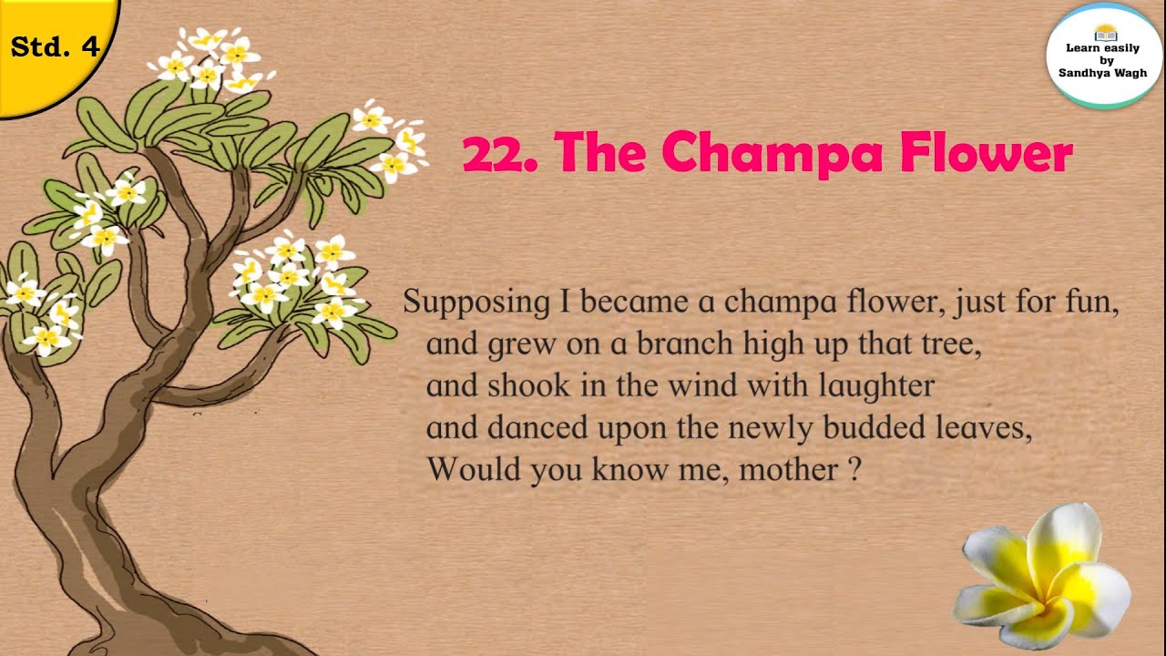 22. The Champa Flower poem | std 4 | English Balbharati | Easy explanation with question answers