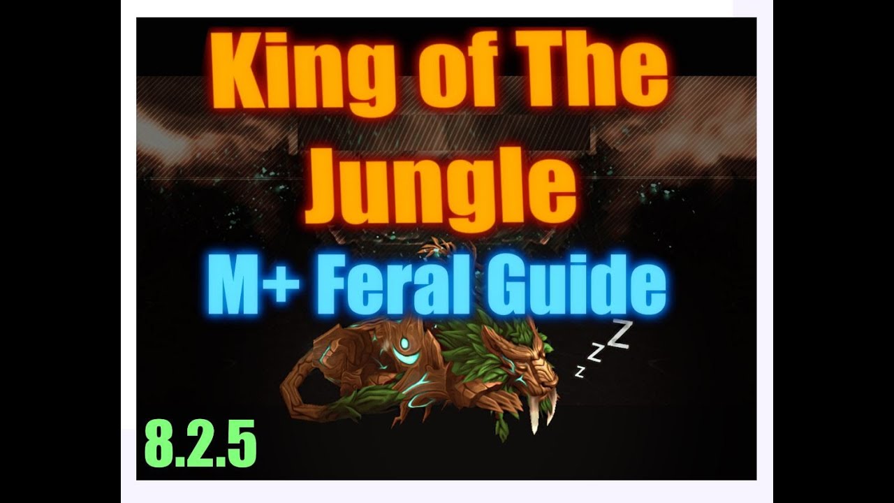 8.2.5/8.3 - M+ FERAL FULL OVERVIEW - AN ADVANCED GUIDE MADE EASY