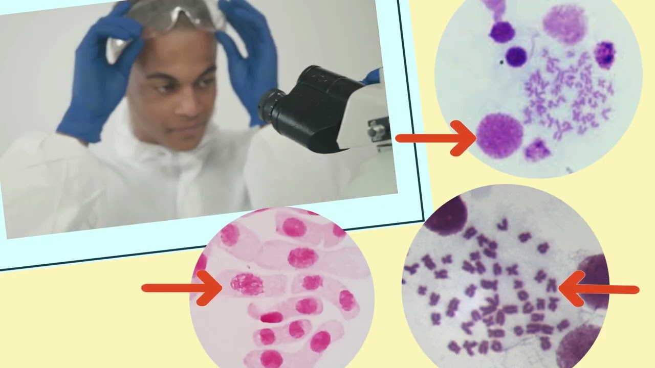 Meeting a scientist