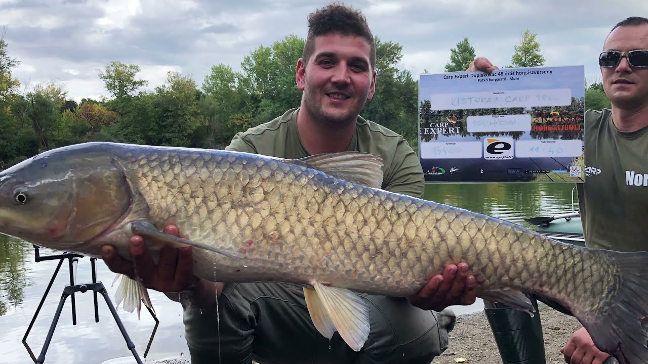 Carp Expert Competition - Pontyhorg&aacute;sz verseny a Patk&oacute; Horg&aacute;sztavon