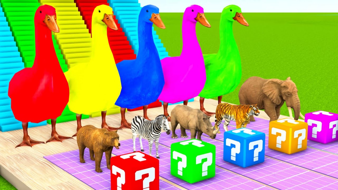 Long Slide Game With Zebra Tiger Unicorn Elephant Bear-3d Animal Game - Funny 3d Animals