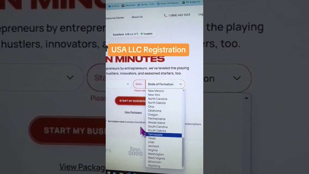 USA LLC Registration