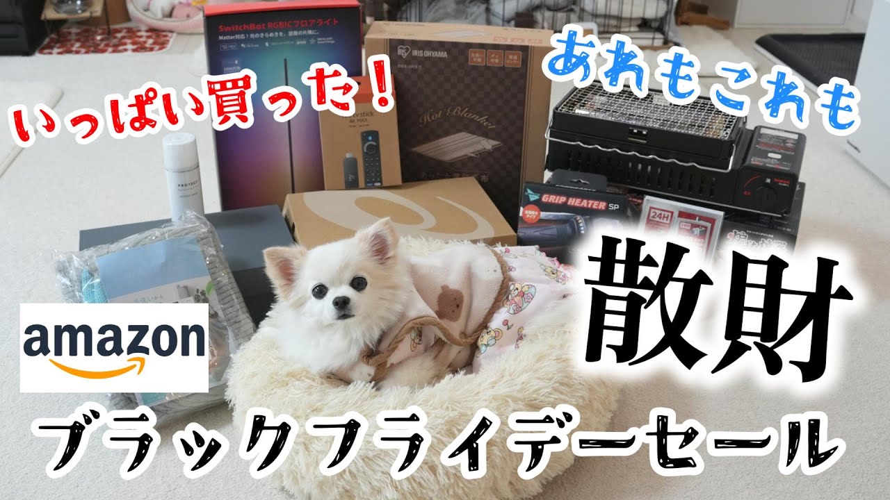 愛犬の為にプレゼントを買ったら完全に騙されました！【Amazon ブラックフライデーセール購入品紹介】