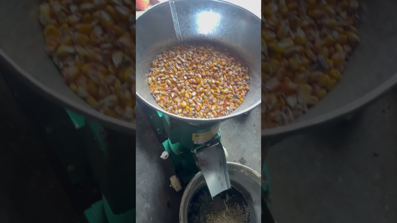 Granulator furaje KL-120 | Rodaj, punere &icirc;n funcțiune la client | Uniteh PRO