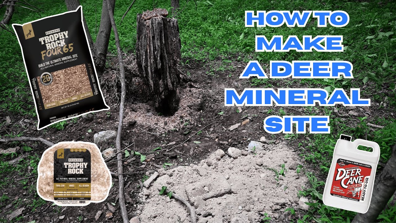 How to Make a Deer Mineral Site