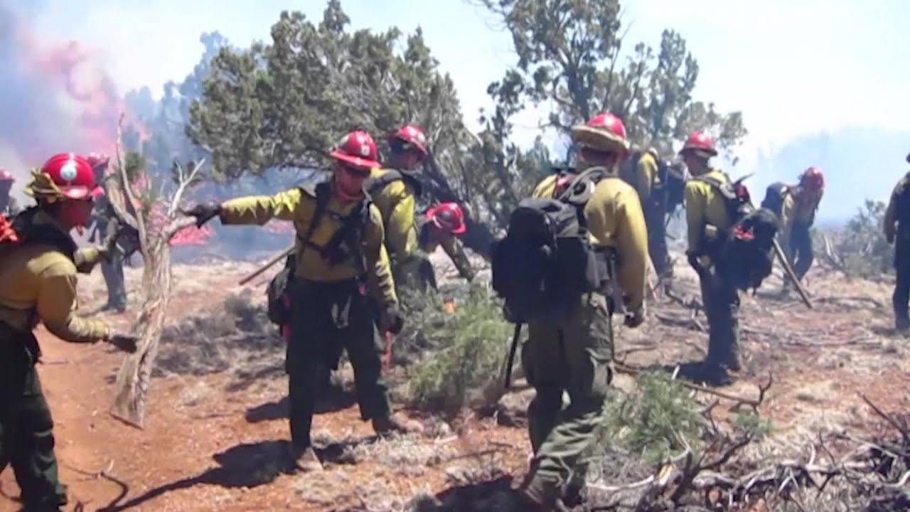 Fires of Change - Science Video