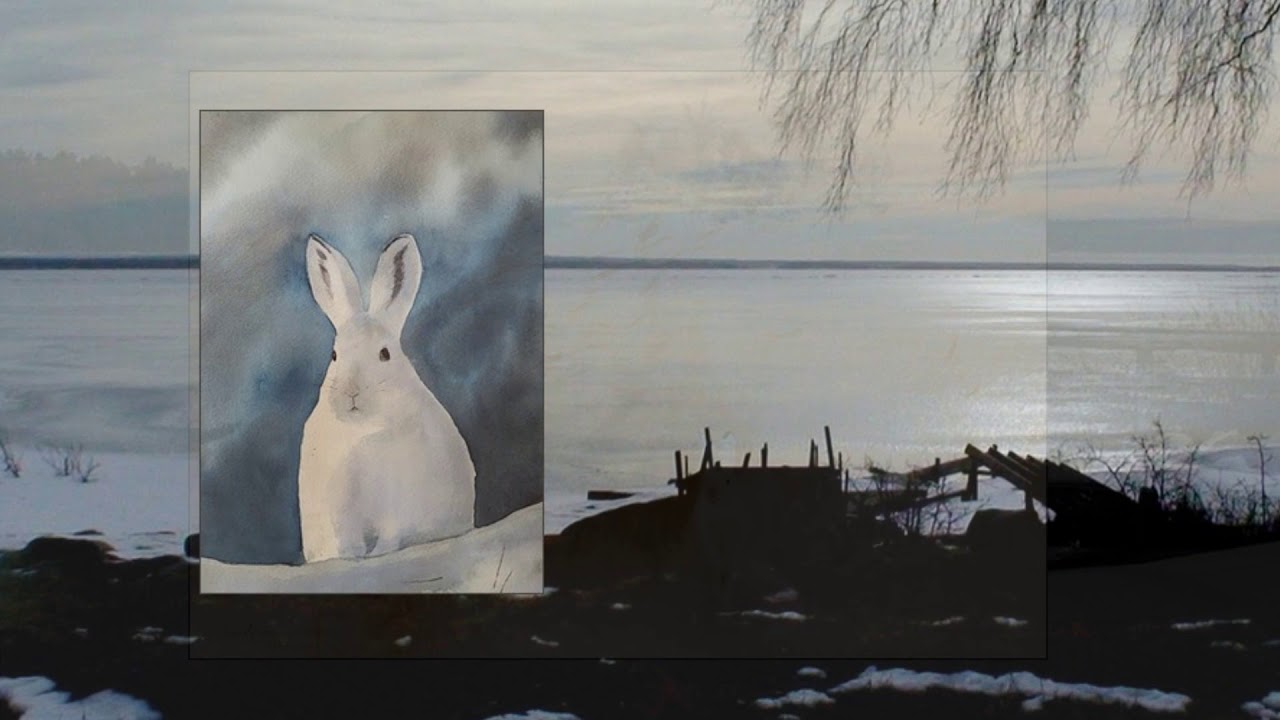 liljefors på torsö