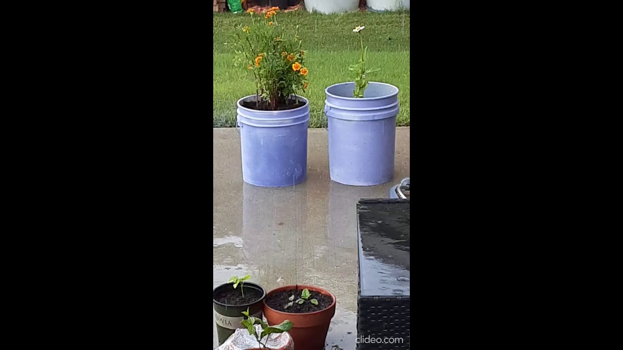 Paint bucket to planter/flower pot