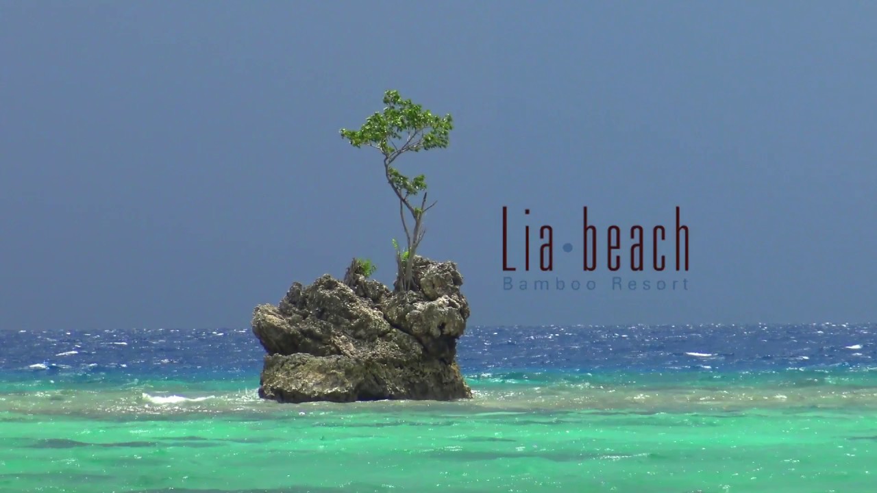 Lia Beach Promo