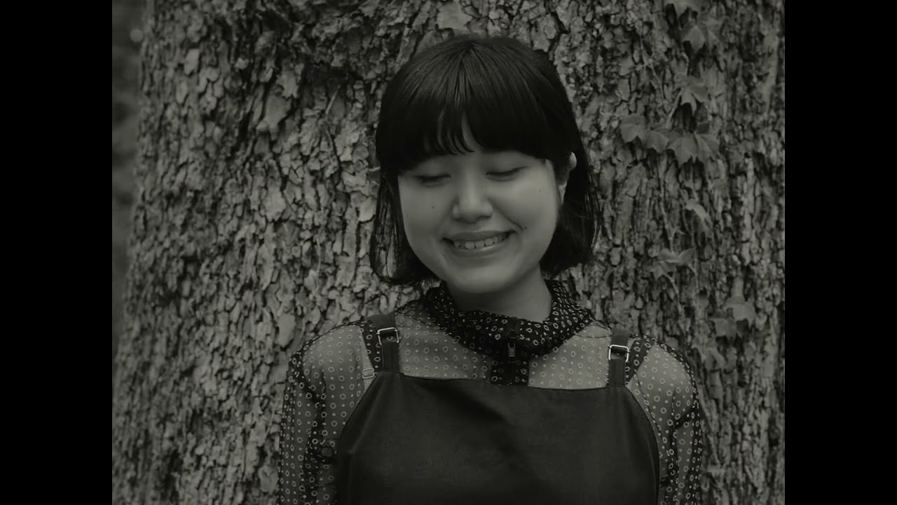 Analogfish - Lady Lady (Official Music Video)