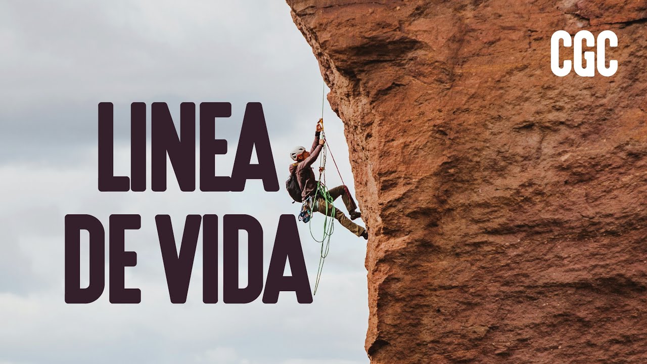 Linea de vida l Reunión General l Enero 31 de 2026