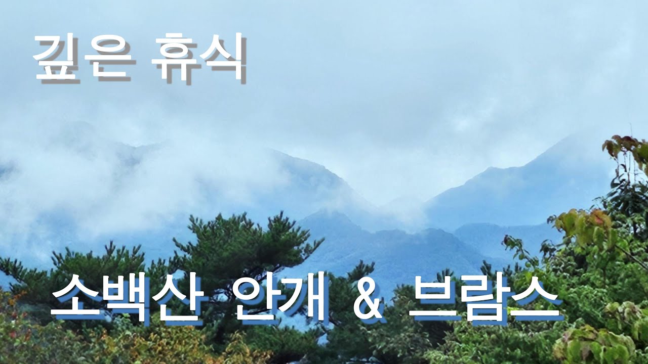 고요한 소백산 안개와 브람스 인터메초: 당신을 안아주는 깊은 휴식 (30분)ㅣDeep Rest with Sobaeksan Fog & Brahms Intermezzo (30min)