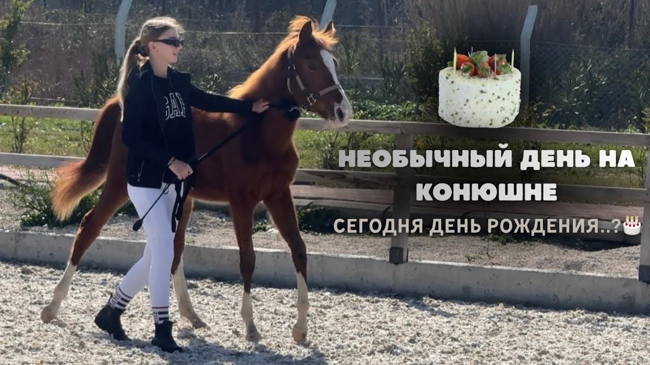 Vlog | праздник на конюшне и работа с лошадьми🤍