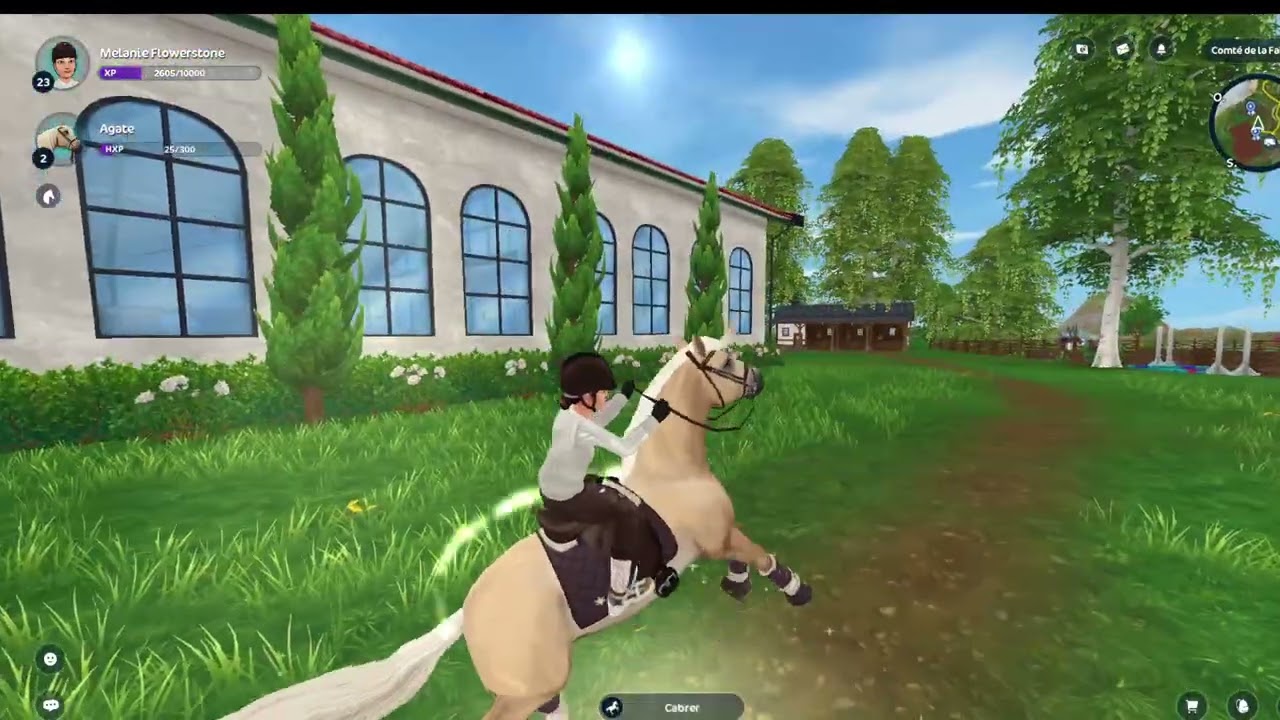 🚨[starstable]dernière live, j acheter nouveau cheval (petit semaine de live )🚨